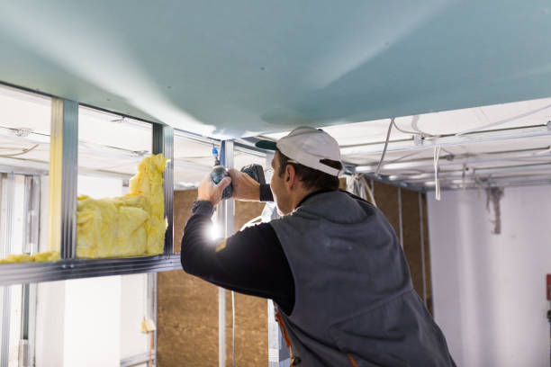 Best Insulation for New Construction  in Newport, VT