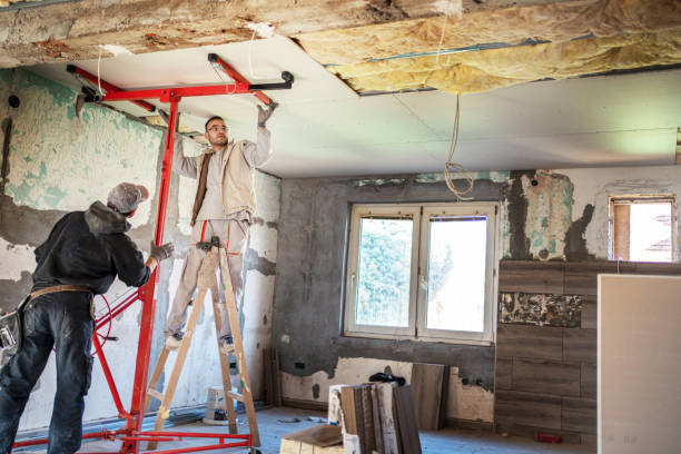 Best Insulation Repair Services  in Newport, VT