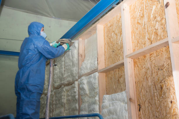 Best Insulation Removal  in Newport, VT