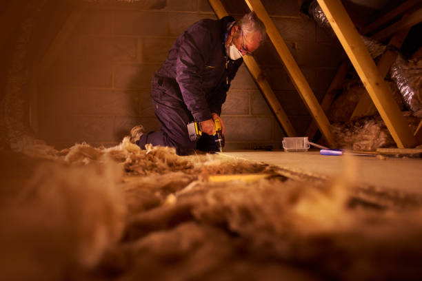 Best Professional Insulation Contractor  in Newport, VT